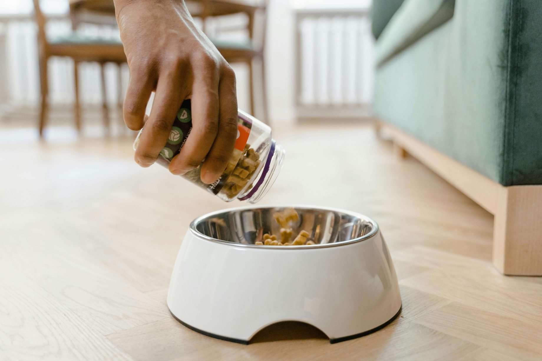 petfood