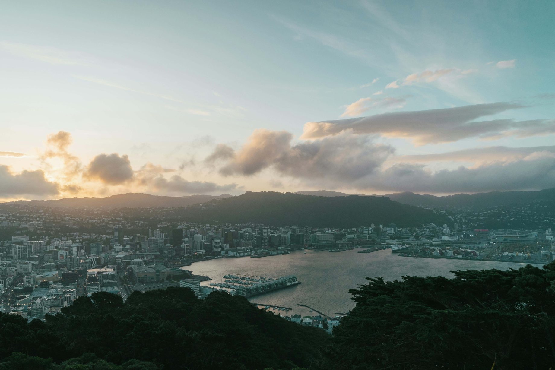 nzport